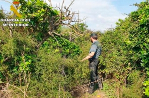 Localizan a un niño de dos años perdido en una urbanización de Godelleta